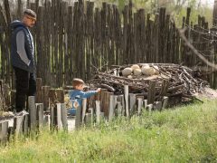 Ásotthalom, Dínópark, dínó, szórakozás, gyerekek