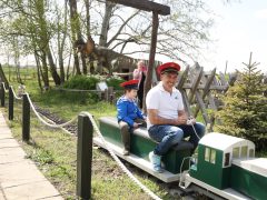 Ásotthalom, Dínópark, dínó, szórakozás, gyerekek