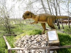 Ásotthalom, Dínópark, dínó, szórakozás, gyerekek