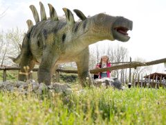 Ásotthalom, Dínópark, dínó, szórakozás, gyerekek
