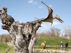 Ásotthalom, Dínópark, dínó, szórakozás, gyerekek