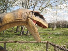 Ásotthalom, Dínópark, dínó, szórakozás, gyerekek