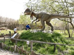 Ásotthalom, Dínópark, dínó, szórakozás, gyerekek