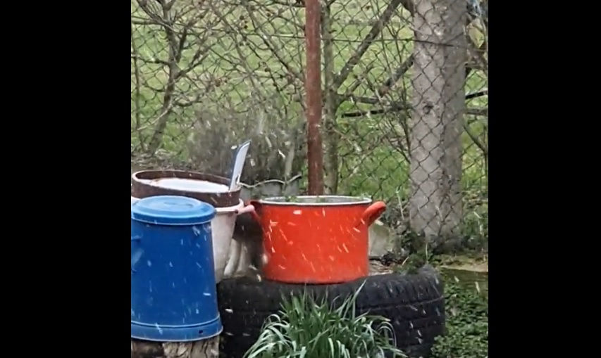 Havazás Tetétlenen