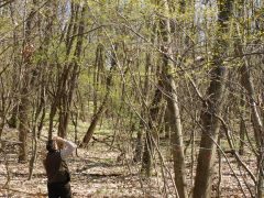 NYÍRERDŐ erdészverseny