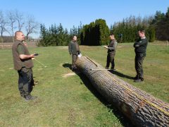 NYÍRERDŐ erdészverseny