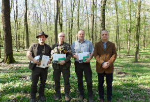 NYÍRERDŐ erdészverseny