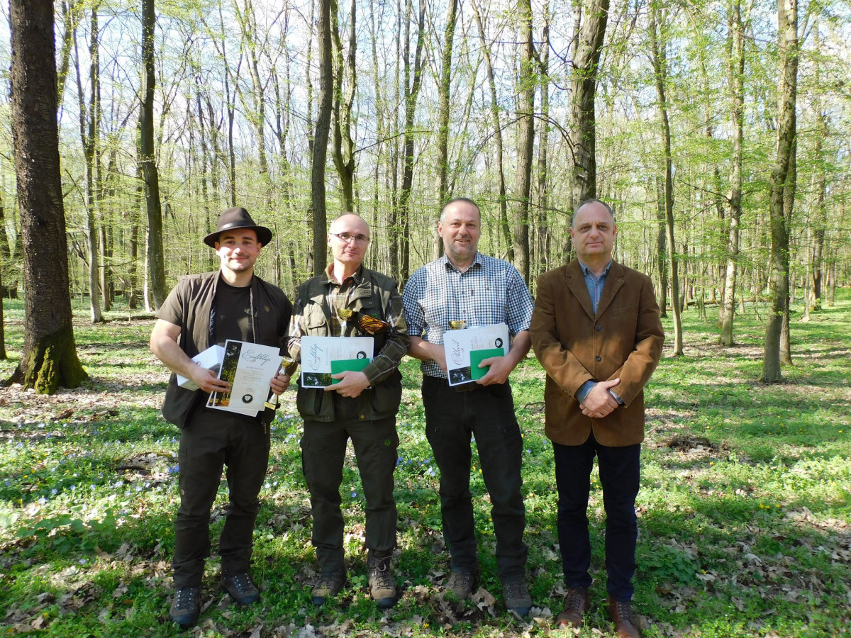 NYÍRERDŐ erdészverseny