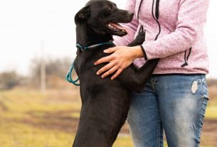 Mancsmentő Állatvédő Egyesület