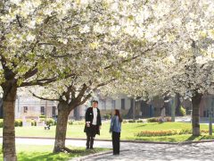 Szeged, Szent István tér, fák, virág, tavasz