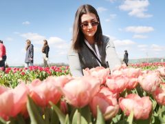 Mórahalom, Homok Virág Major, kert, természet, tulipán