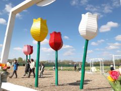 Mórahalom, Homok Virág Major, kert, természet, tulipán