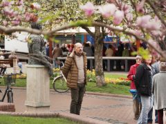 Szeged, tavasz, virágosztás, önkormányzat, Szent István tér
