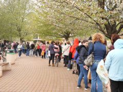 Szeged, tavasz, virágosztás, önkormányzat, Szent István tér