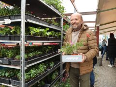 Szeged, tavasz, virágosztás, önkormányzat, Szent István tér