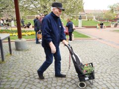 Szeged, tavasz, virágosztás, önkormányzat, Szent István tér