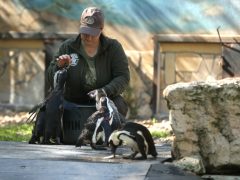 Szeged, tojásvadászat, húsvét, Vadaspark