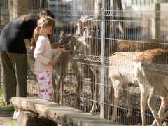 Szeged, tojásvadászat, húsvét, Vadaspark