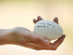 Szeged, tojásvadászat, húsvét, Vadaspark