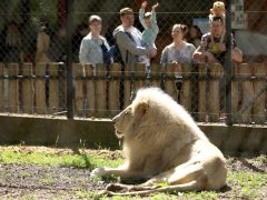Szeged, tojásvadászat, húsvét, Vadaspark
