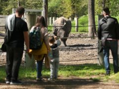 Szeged, tojásvadászat, húsvét, Vadaspark