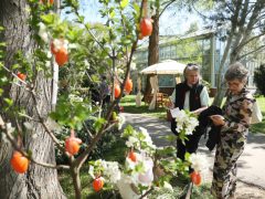 Szeged, húsvét, Füvészkert