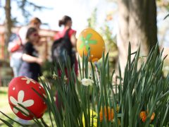 Szeged, húsvét, Füvészkert