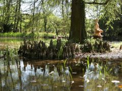 Szeged, húsvét, Füvészkert