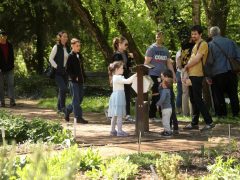 Szeged, húsvét, Füvészkert