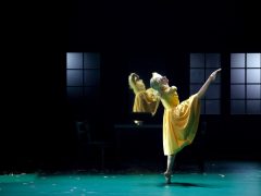 Szeged, Szegedi Kortárs Balett, Jelenetek a házasságról, balett, táncjáték, tánc, kultura