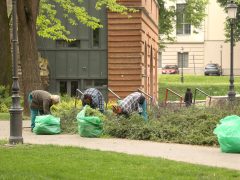 Szeged, tavasz, várostakarítás, fűnyírás, Stefánia