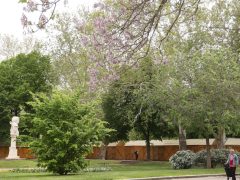 Szeged, építés, bódé, Széchenyi tér, Borfesztivál