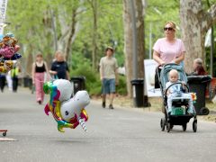 Szeged, majális, újszeged, liget, szórakozás, forgó, lufi, sör