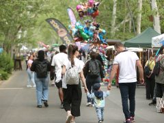 Szeged, majális, újszeged, liget, szórakozás, forgó, lufi, sör