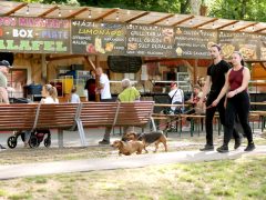 Szeged, majális, újszeged, liget, szórakozás, forgó, lufi, sör