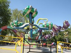 Szeged, majális, május 1., újszeged, liget