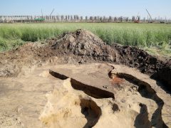 Szeged, épül, BYD, gyár, ipar, gazdaság,építkezés, autógyár, Magyar Nemzeti Múzeum, Móra Ferenc Múzeum, régészek, ásatás