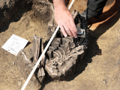 Szeged, épül, BYD, gyár, ipar, gazdaság,építkezés, autógyár, Magyar Nemzeti Múzeum, Móra Ferenc Múzeum, régészek, ásatás