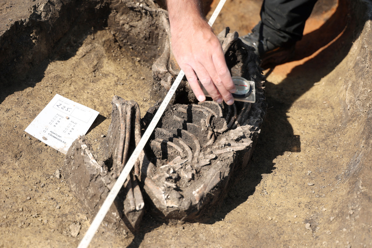 Szeged, épül, BYD, gyár, ipar, gazdaság,építkezés, autógyár, Magyar Nemzeti Múzeum, Móra Ferenc Múzeum, régészek, ásatás