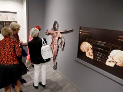 Szeged, A jégkori ember, kiállítás, megnyitó, Móra Ferenc múzeum, kultura