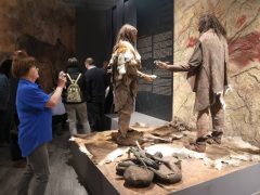 Szeged, A jégkori ember, kiállítás, megnyitó, Móra Ferenc múzeum, kultura