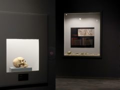 Szeged, A jégkori ember, kiállítás, megnyitó, Móra Ferenc múzeum, kultura