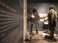 Szeged, A jégkori ember, kiállítás, megnyitó, Móra Ferenc múzeum, kultura