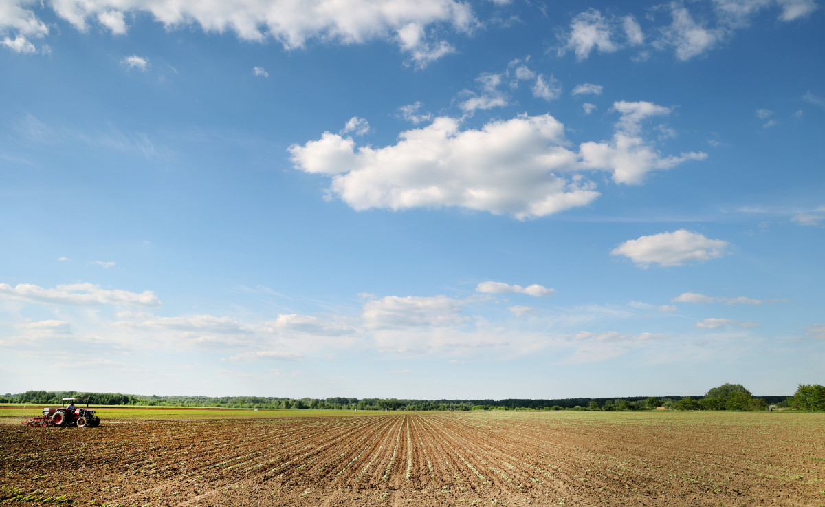 Deszk, mezőgazdaság, traktor, földművelés, föld, termőföld