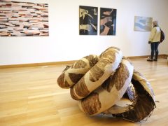 Szeged, XLIII. Szegedi Nyári Tárlat, Nyári Tárlat, sajtóbejárás, Reök palota, kiállítás, kultura