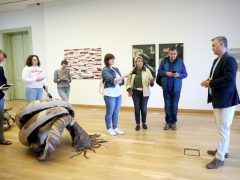 Szeged, XLIII. Szegedi Nyári Tárlat, Nyári Tárlat, sajtóbejárás, Reök palota, kiállítás, kultura