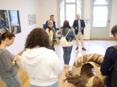 Szeged, XLIII. Szegedi Nyári Tárlat, Nyári Tárlat, sajtóbejárás, Reök palota, kiállítás, kultura