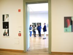 Szeged, XLIII. Szegedi Nyári Tárlat, Nyári Tárlat, sajtóbejárás, Reök palota, kiállítás, kultura