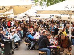 Szeged, Borfesztivál, bor, fesztivál, turizmus, Széchenyi tér