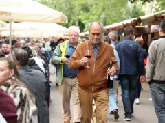 Szeged, Borfesztivál, bor, fesztivál, turizmus, Széchenyi tér